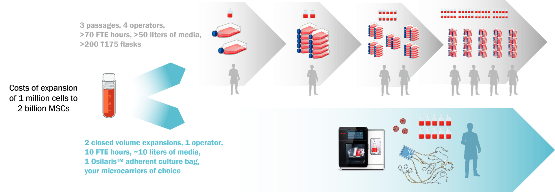Osilaris MSC workflow