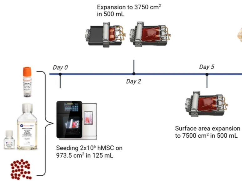 Osilaris bioreactor workflow