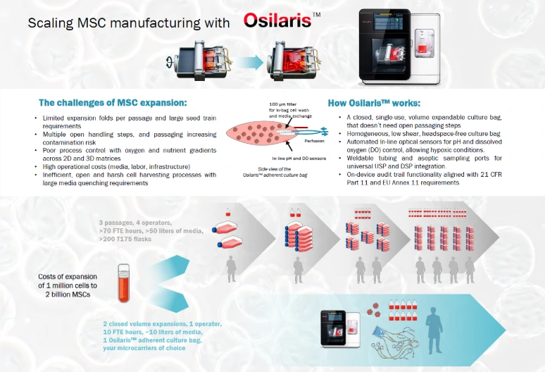 Osilaris bioreactor MSC manufacturing