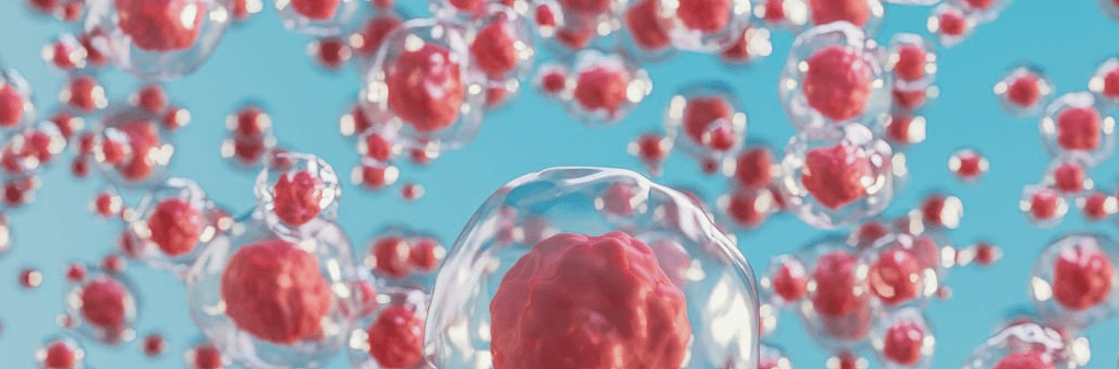 Exploring the Promise of Mesenchymal Stromal Cells (MSCs) in Cell Therapy